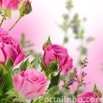 frases-romanticas-rosas